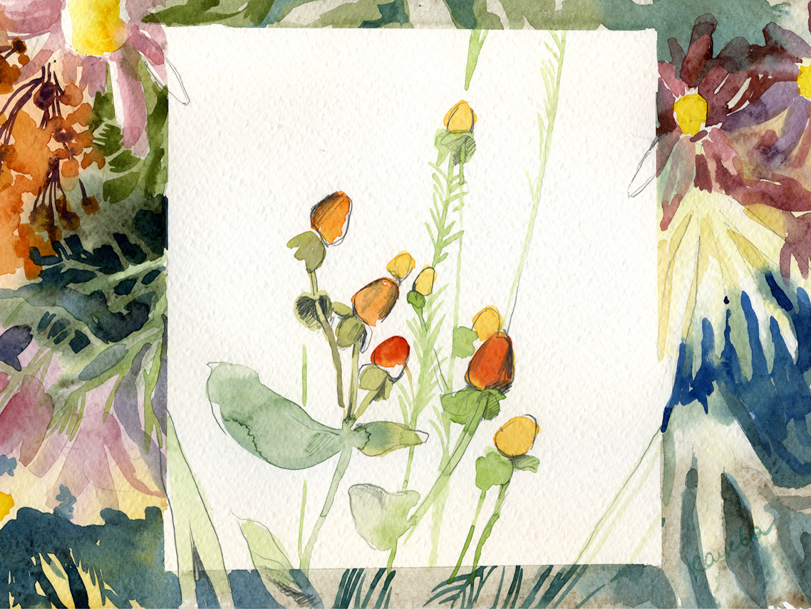 Watercolor